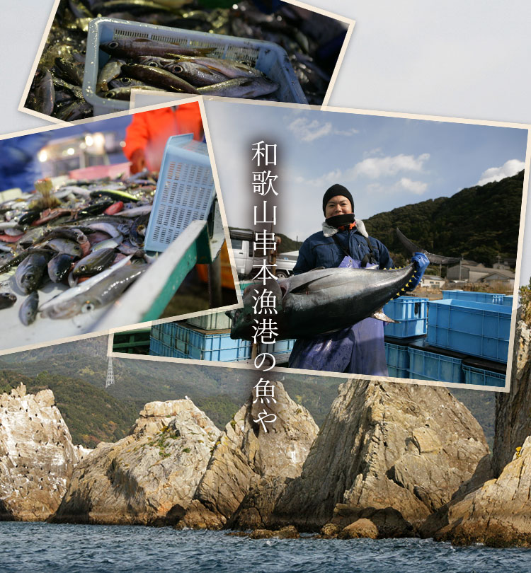 和歌山串本漁港の魚や