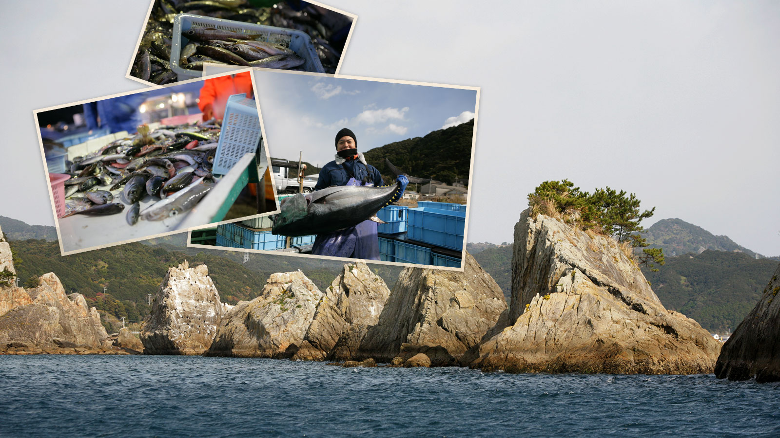 和歌山串本漁港の魚や