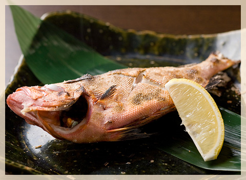 本日の焼魚