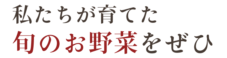 旬のお野菜をぜひ