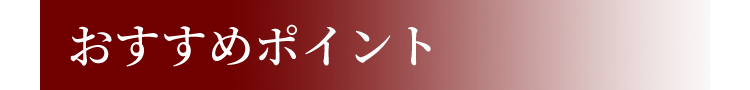 おすすめポイント